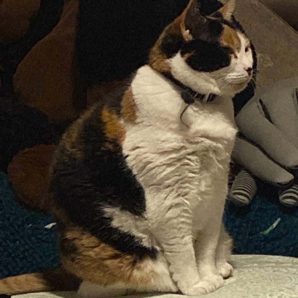 Meet your Posher, Nadja